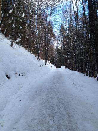 Winteranderweg Ruine