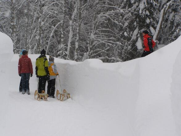 Tief verschneite Winterlandschaft am Winterwanderweg entlang der Gail