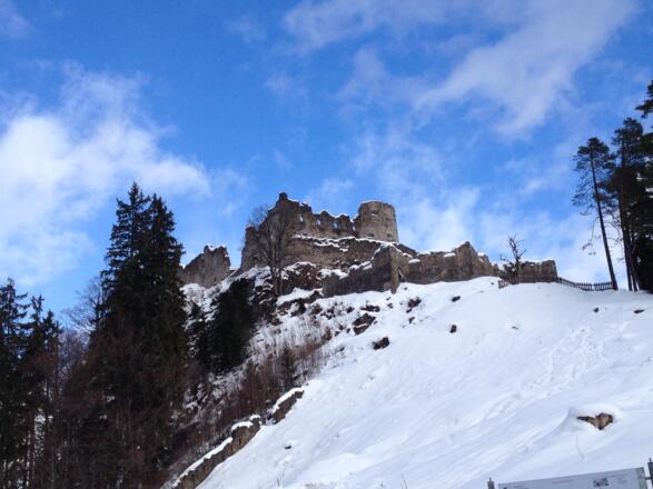 Blick auf die Ruine