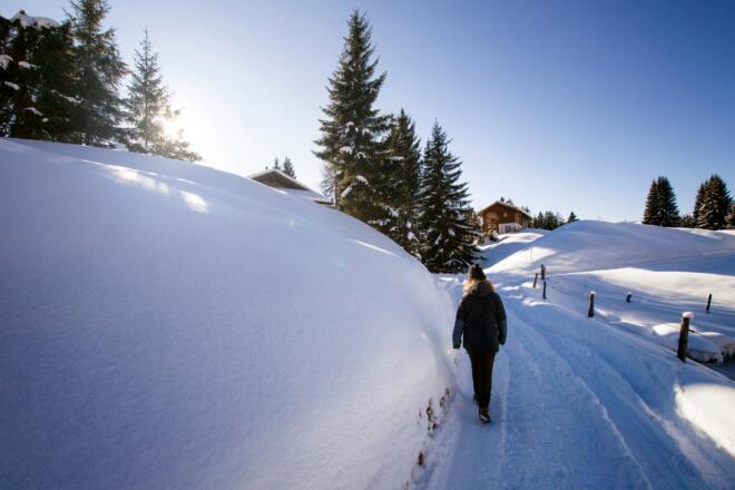 Winterwandern Bartholomäberg