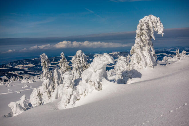 Winterstimmung auf der Niedere