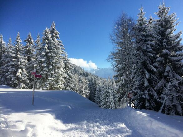 Winterwandern auf dem Kristberg