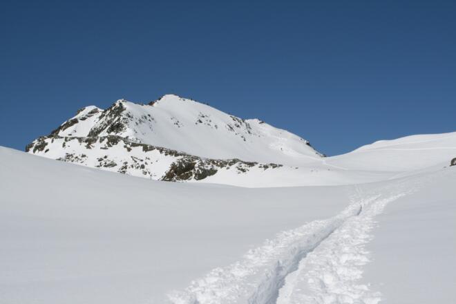 Nach gut 3,5 Stunden ist der Zwieselbacher Roßkogel erreicht.