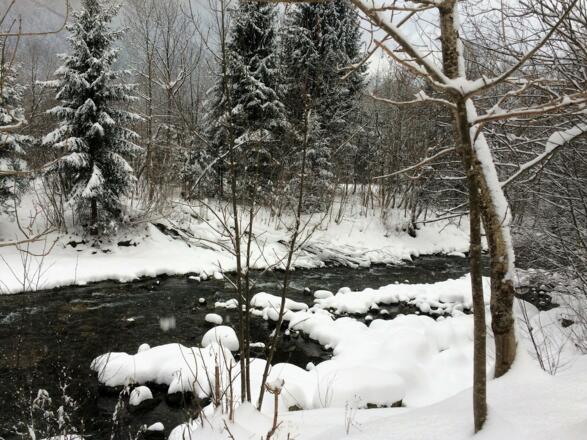 Winterwandern der Ill entlang