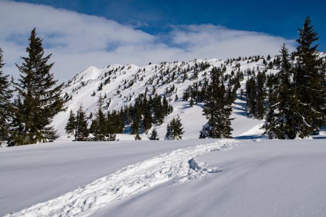 Schneeschuhwanderng Wannaköpfe