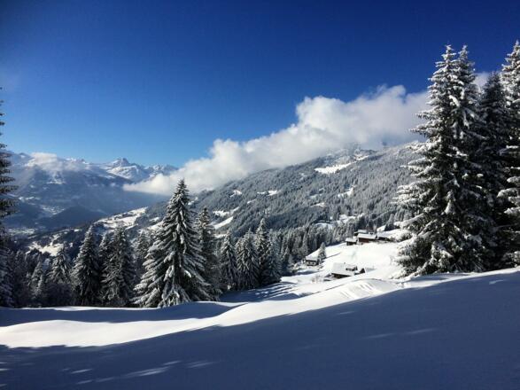 Ausblick vom Winterwanderweg