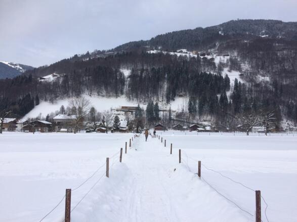 Einstieg bei Wohnhäusern (kurz vor der Talstation Zamang Bahn)