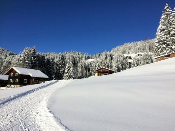 Gebiet Bodastall, Nähe Ausstiegsstelle Stelzer