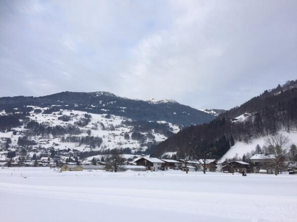 Schrunser Feld mit Blick auf den Bartholomäberg