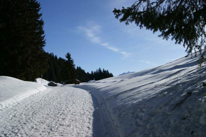 kurz vor dem Fritzensee