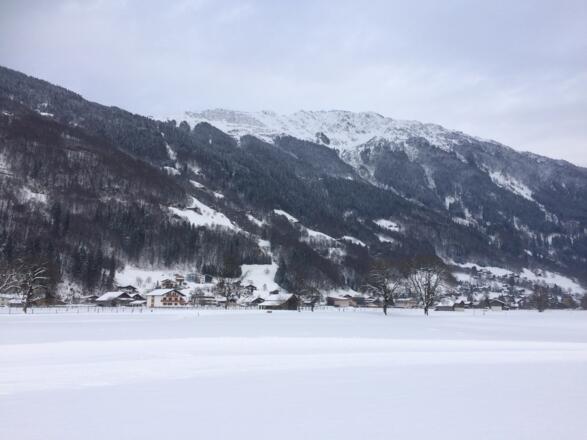 Schrunser Feld, das Hochjoch im Hintergrund