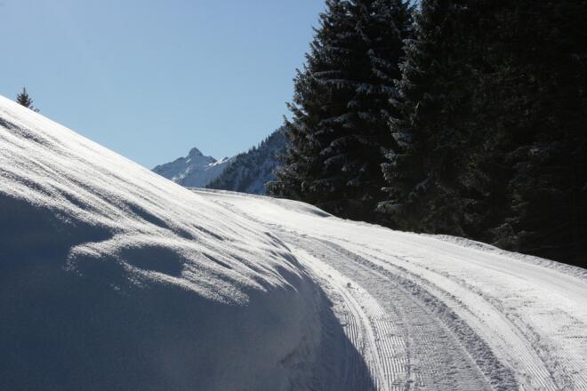 Winterwandern