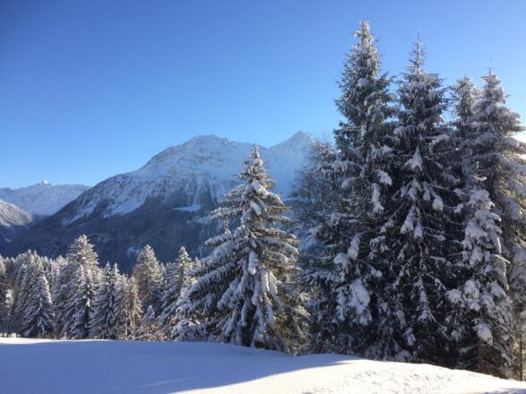 Ausblick vom Kristberg