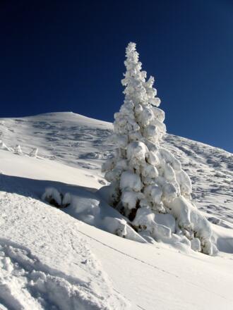 Winterwonderland - Hinten der Gipfel des Härmelekopf