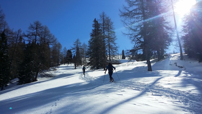 Vor Muhreralm rechts abbiegen