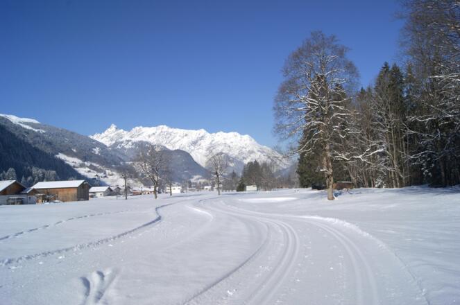klassisch und skating - im Hintergrund die Vandanser Steinwand