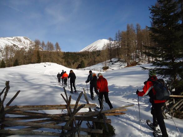 Nach ca. 40min Gehzeit erreichen wir die Lichtung vor der "Eberlhütte" (nicht bewirtschaftet)