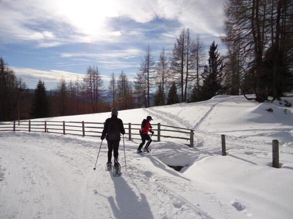 Beim Abstieg über die Prodingeralm