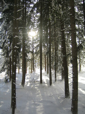 tiefverschneit