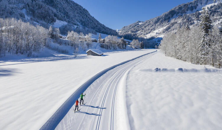 Skating in Au-Schoppernau