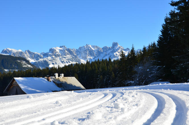 Blick auf dem Gosaukamm - Lammertalloipe