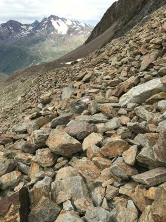 Typisches Blockgelände bei der Ramoljoch-Überschreitung