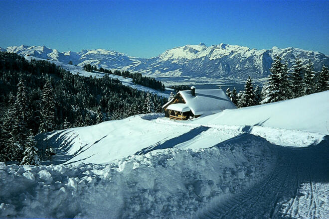 Rheintalpanorama bei der Madlensalpe