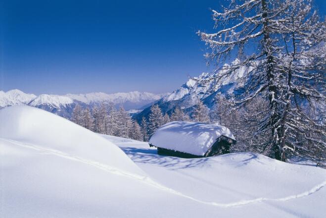 Schneelandschaft