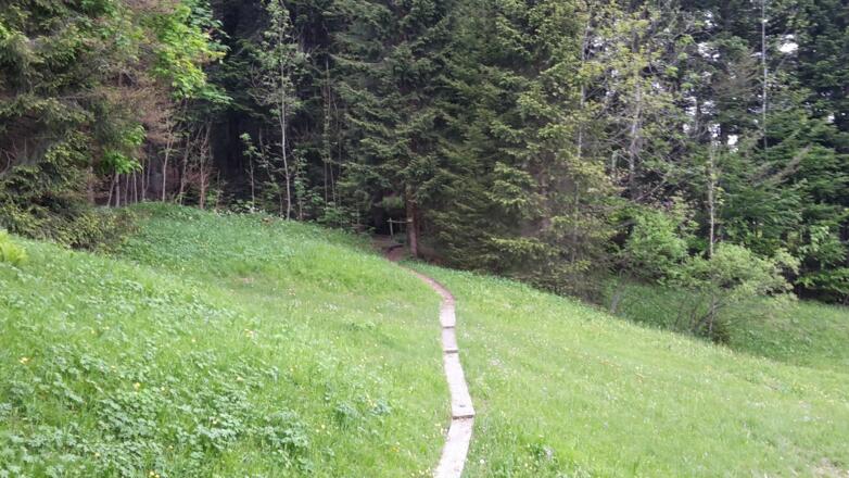 Weg zur Ilgaquelle