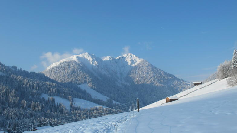 Thierbach Wildschönau Blick auf den Gradlspitz