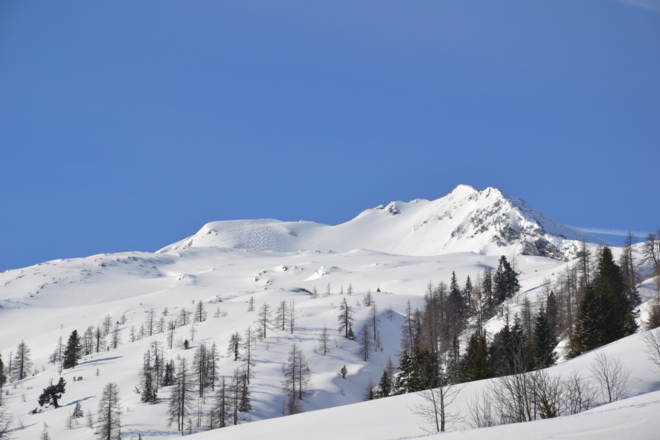 Mandlkogel