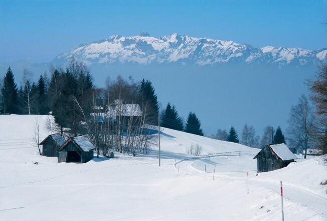 Übersaxen, unter Gulm
