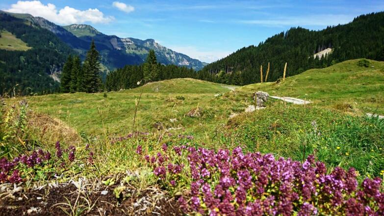 Abfahrt Richtung Mellental