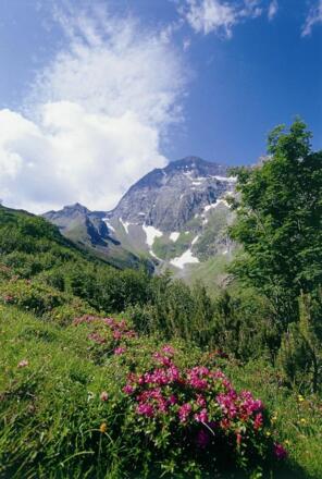 Innsbruckerhütte Zu- und Abstieg