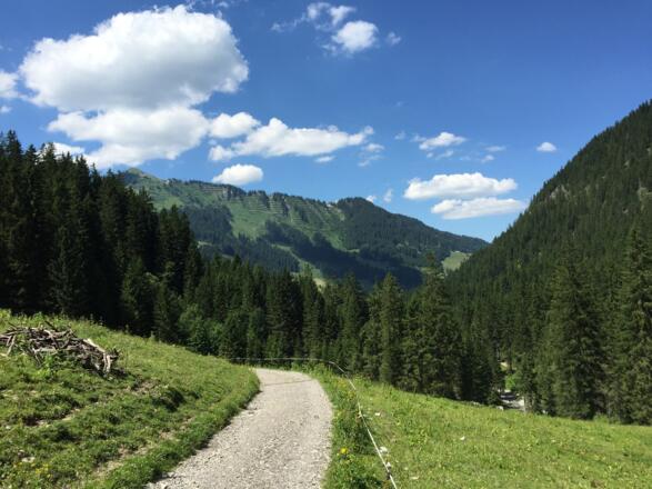 Rückweg aus dem Gemsteltal