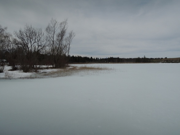 Der Bannwaldsee im Winter