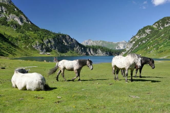 Tappenkarsee