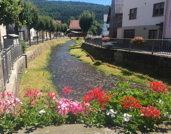 Schleifenroute - Burgsinn Ortsmitte Bachlauf