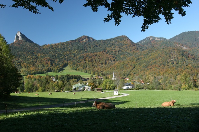 Kreuth - Riedlern mit Blick zum Leonhardstein