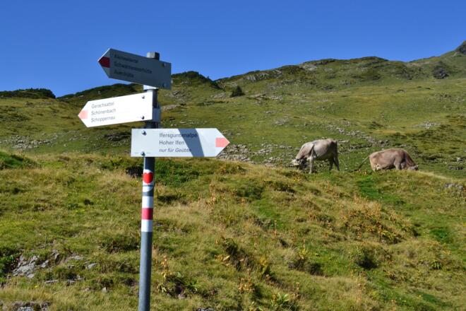 Von der Alpe Ifersgunt Richtung Schwarzwasserhütte