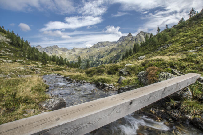 Brücke über den Bach im Lämmerkar