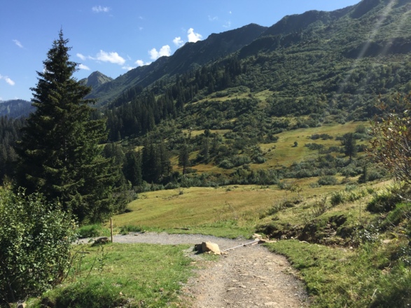 Gemäßigter Abstieg von der Schwarzwasserhütte zur Alpe Melköde