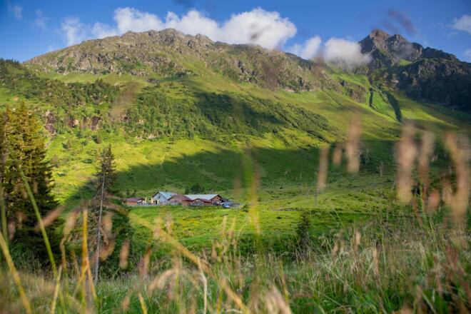 Innerkapellalpe