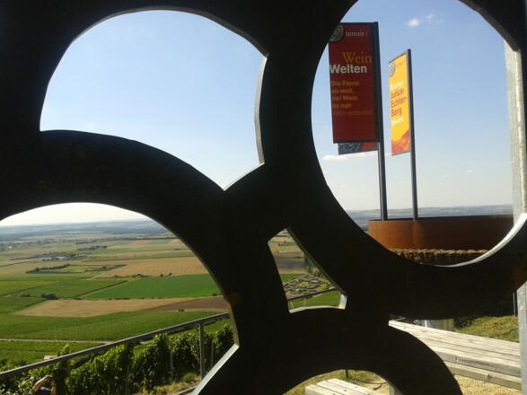 Weinsicht