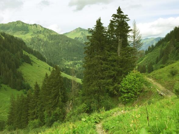 Blick Richtung Unspitze und Walmendingerhorn