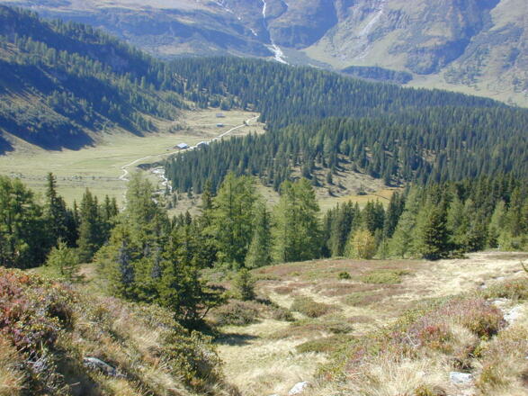 Auf dem Weg zum Niedersachsenhaus