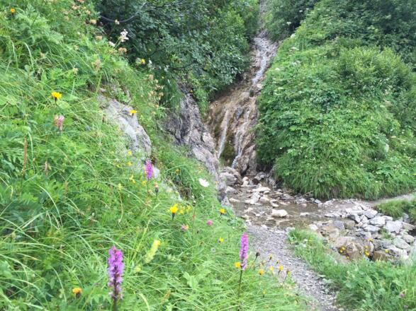 Zuflüsse zum Derrabach