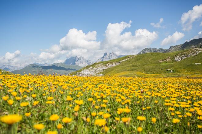 Auf der Schweizer Seite unterwegs
