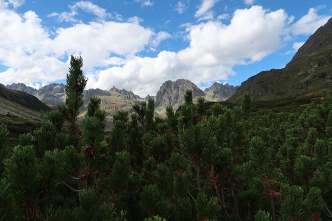 Der Blick zurück auf die Hochmadererspitze