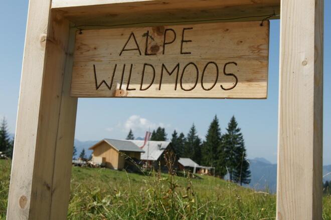 Wildmoos